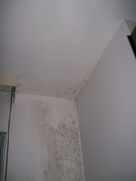 100_0287.JPG