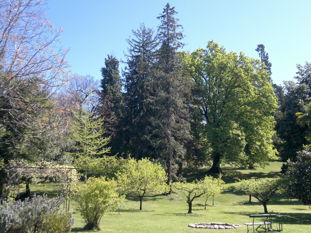12042012897.jpg
