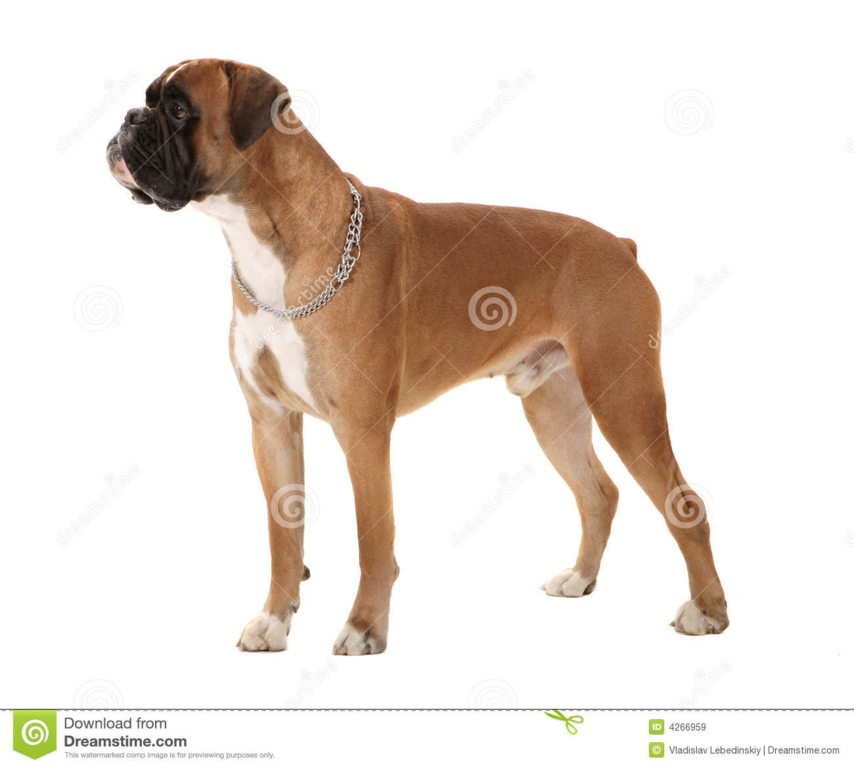 1571775028331.png
