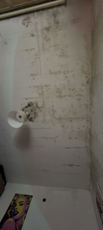 20210404_222119.jpg