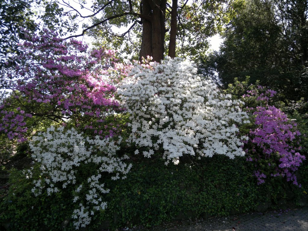 28042012913.jpg