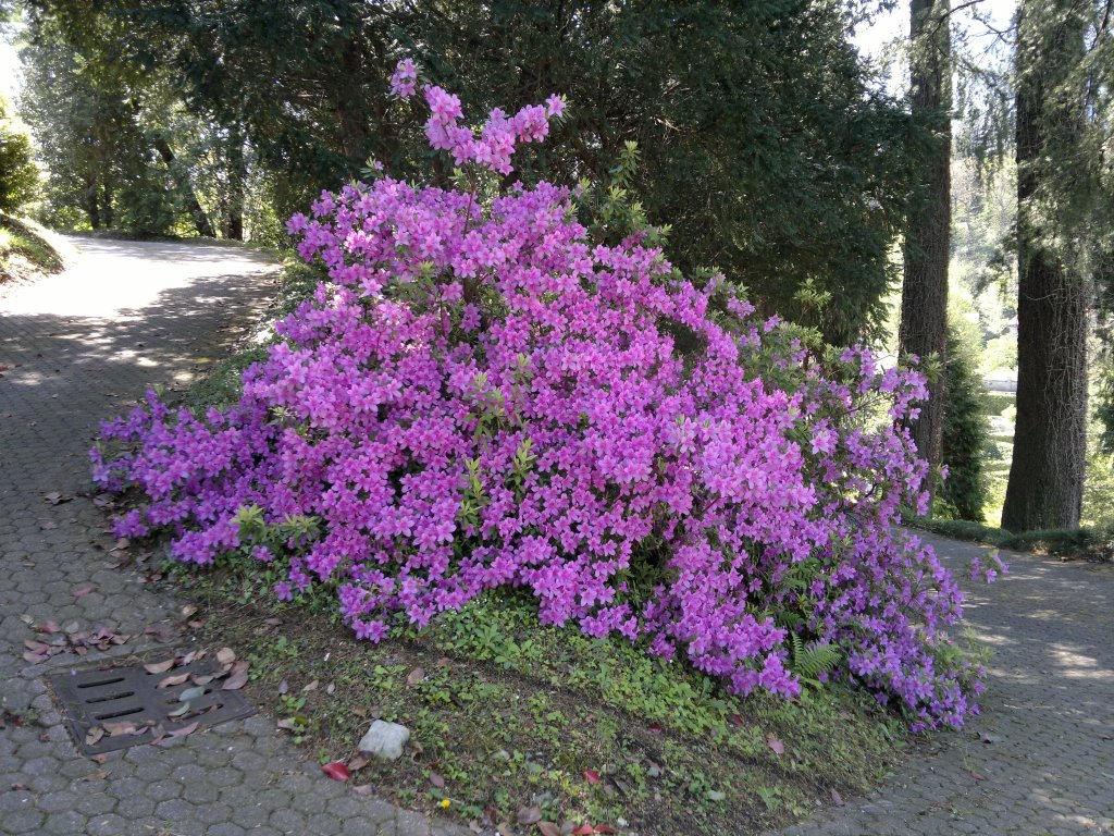 28042012914.jpg