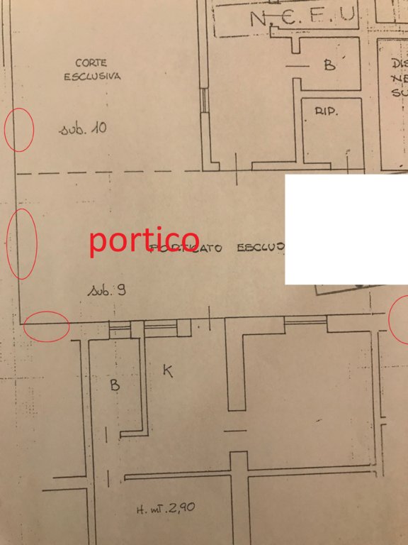 condono b.jpg