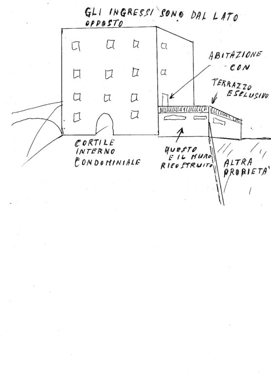 disegno.jpg