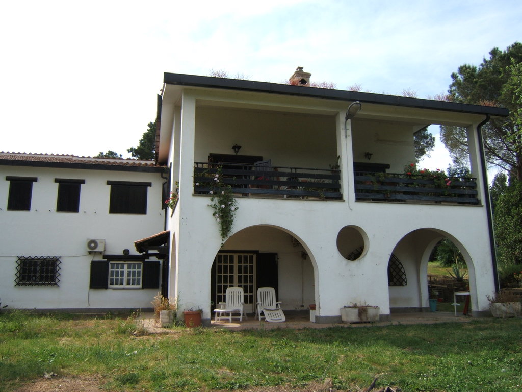 DSCF2341.JPG