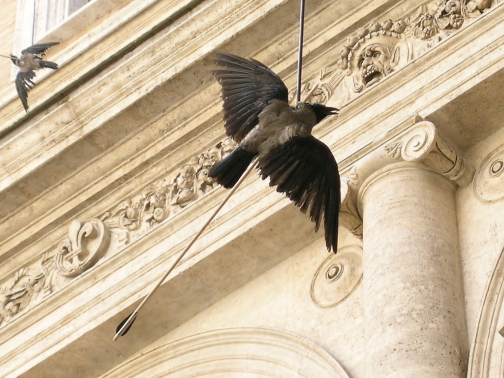 DSCN0788.JPG