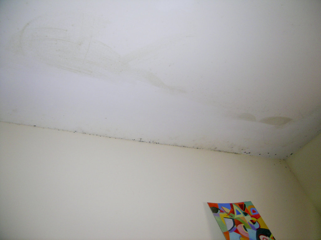 DSCN3333b (FILEminimizer).jpg
