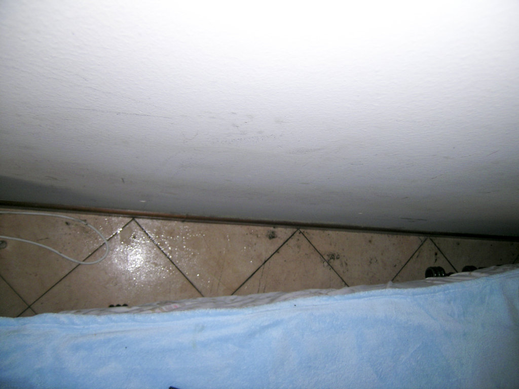 DSCN3336b (FILEminimizer).jpg
