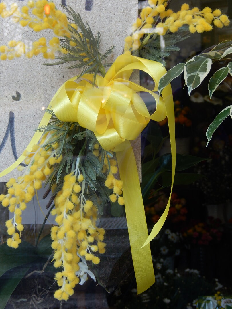 DSCN4471.JPG