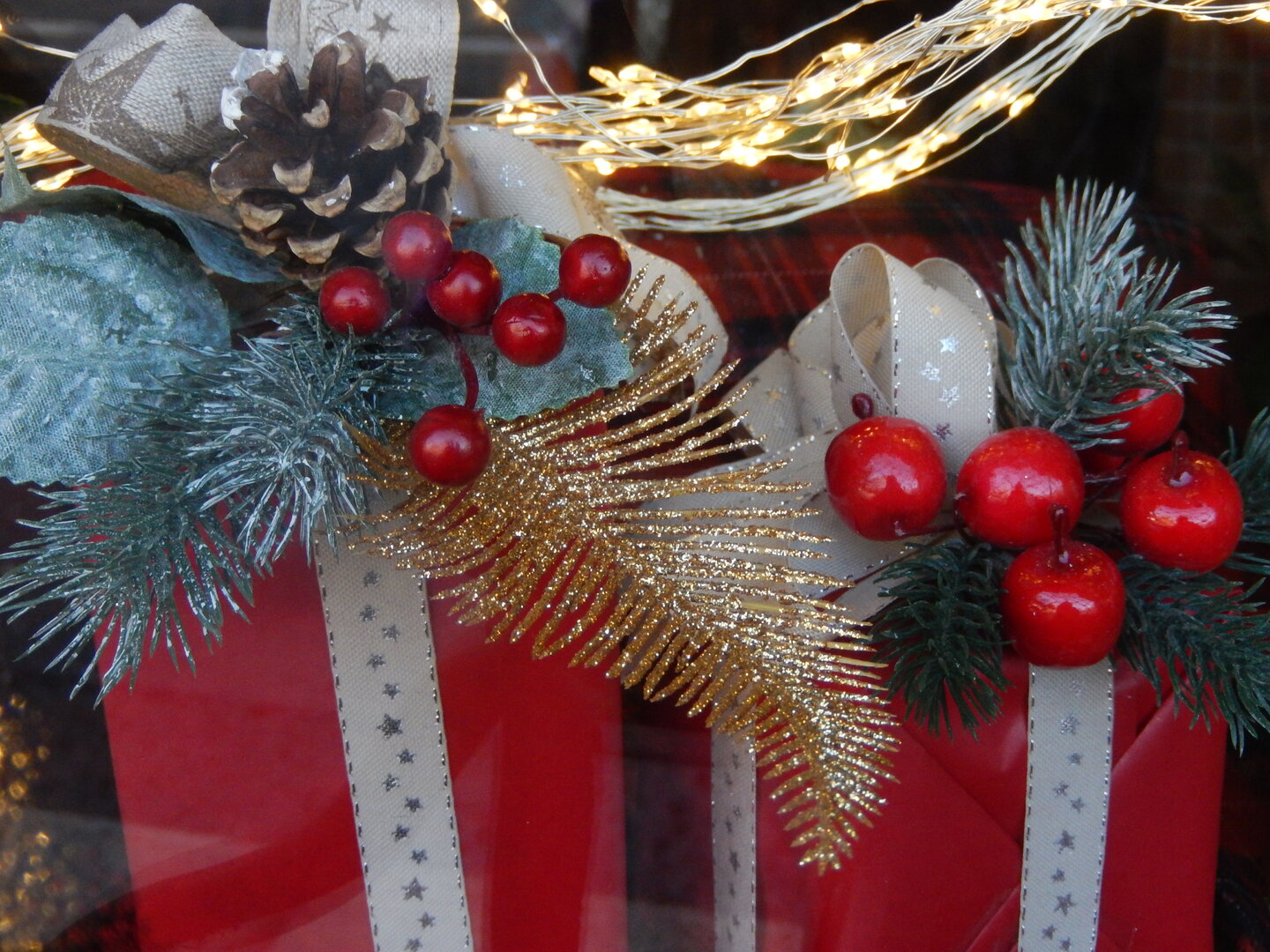 DSCN5851.JPG