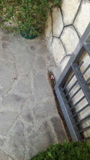 FOTO 2.jpg