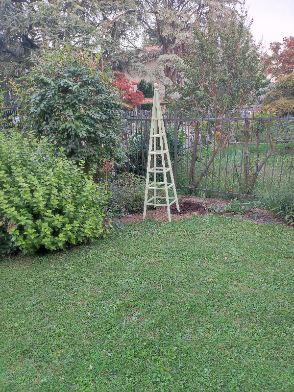 image-600x800.jpg (3).png