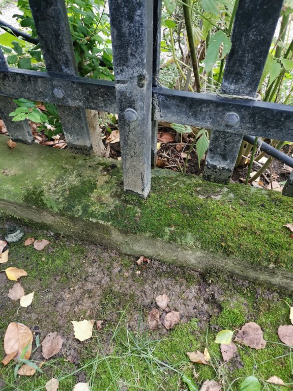 IMG_20190922_144918.jpg