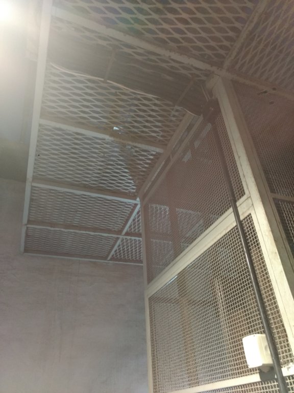 IMG_20200220_183450898.jpg