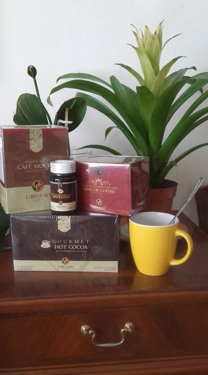 organo.jpg