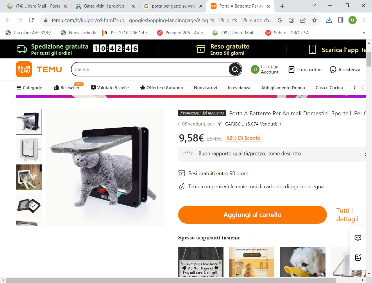 porta per gatto.jpg