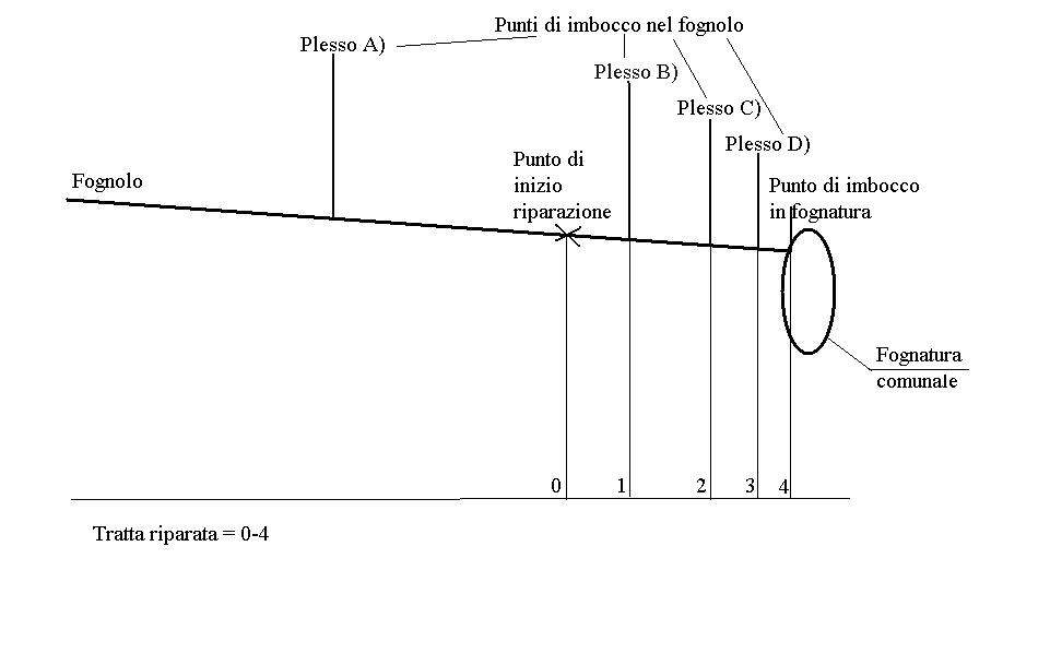 Schizzo fognolo.JPG