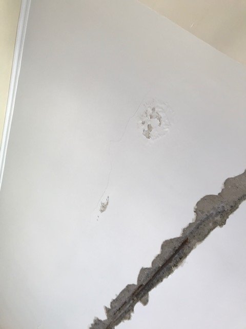thumbnail_IMG_2955.jpg
