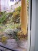 100_2283.jpg