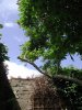 DSCN0055.jpg
