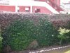 DSCN0059.jpg