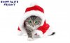 gatto natale 2.jpg