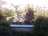 CAM00280.jpg