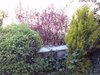 CAM00281.jpg