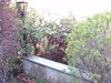CAM00282.jpg
