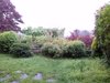 CAM00292.jpg