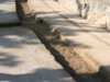 1-Immagine.jpg