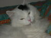 musetta 002.JPG