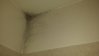 bagno 1.jpg