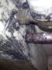 CAM00745.jpg