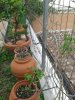 20151018_153903.jpg