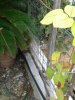 20151018_154004.jpg