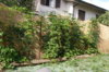 DSC_8910.JPG