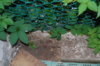 DSC_8924.JPG