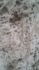 20170209_113351.jpg