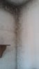 20170209_095529.jpg