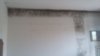 20170209_095627.jpg