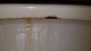 20170213_143632.jpg
