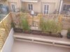 IMG_20180606_084319.jpg