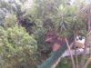 P_20180807_143510.jpg