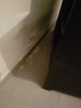 20180909_203142.jpg
