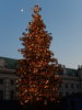 DSCN2729.JPG