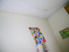 DSCN3332b (FILEminimizer).jpg