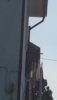 E5ABE3B5-B4E3-4D78-B515-B2A2178EEE68.jpeg