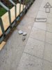IMG-20190516-WA0004.jpg