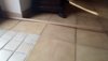 IMG-20190827-WA0006.jpg